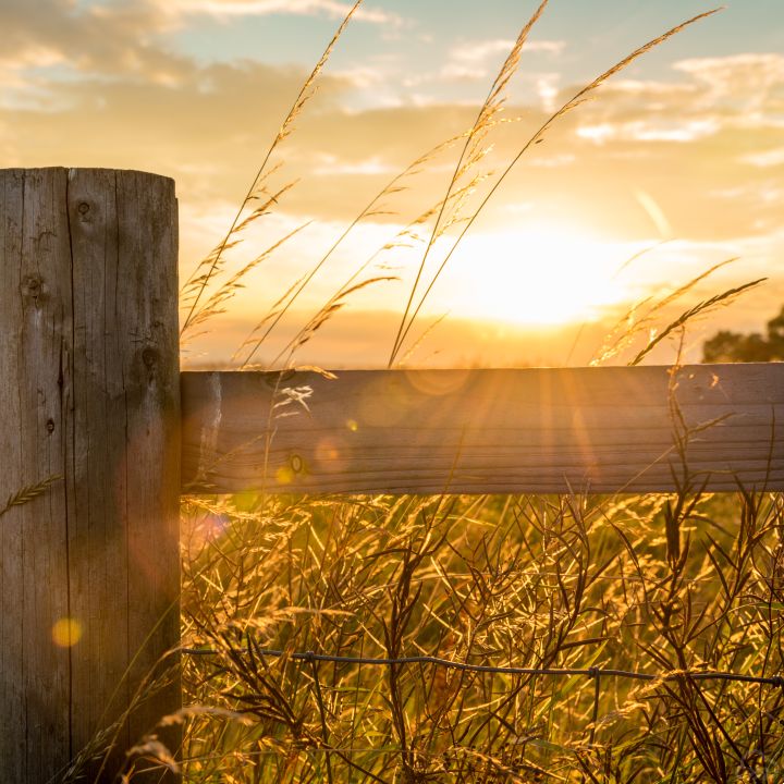 Fencing Equipment & Machinery Hire - Cheshire, Staffordshire & Derbyshire