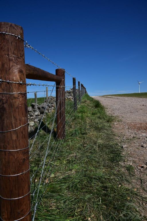 Agricultural Fencing - Cheshire, Staffordshire & Derbyshire